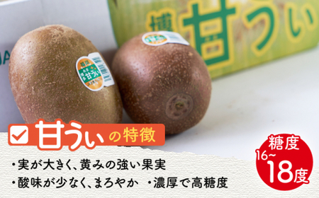 【ふるさと納税】【10月下旬より発送】福岡産ブランドキウイ 甘うぃ 約1.5kg（12-15玉）＜南国フルーツ株式会社＞那珂川市 キウイ キウイフルーツ ブランド フルーツ 果物 九州産 国産 110