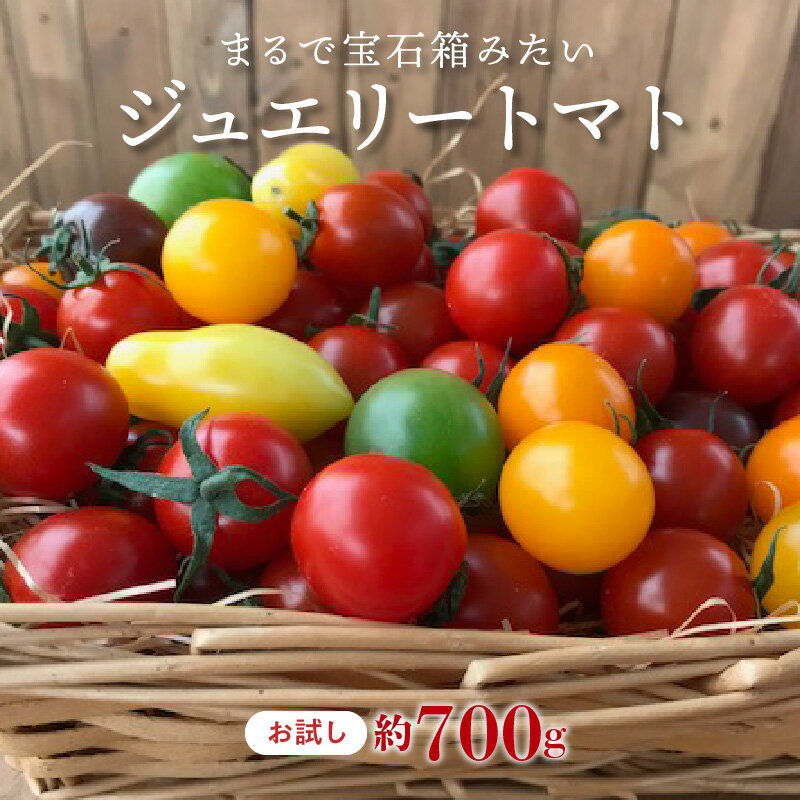 【ふるさと納税】【2026年度予約分】お試し トマト 宝石箱 ジュエリートマト 700g トマトベリー 1月〜4月 発送 ミニトマト 長田農園 健康 リコピン お取り寄せ お取り寄せグルメ 国産 野菜 新鮮 食品 産地直送 送料無料
