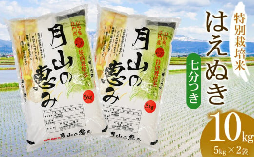 【令和6年産 新米】 特別栽培米 はえぬき 七分づき 10kg（5kg×2袋）山形県鶴岡市産　米工房 月山