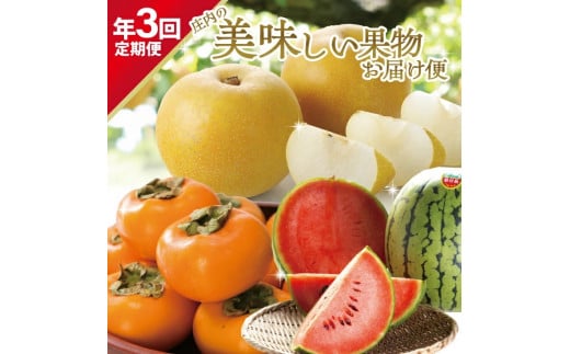 ≪3回定期便≫ 庄内の美味しい果物お届け便2026 7月中旬～8月中旬 小玉すいか 8月下旬～9月下旬 刈屋梨 10月中旬～11月下旬 庄内柿 計3回 頒布会 夏 秋 冬 小玉スイカ スイカ 梨 和梨 柿 かき カキ フルーツ 山形 酒田 庄内 マルト直治郎商店　SE0487