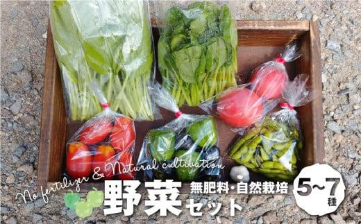 
                  【7月から順次配送】無肥料 自然栽培 野菜セット 5～7種 | やさい 野菜詰合せ 秋野菜 産地直送 詰合せ セット 新鮮野菜 飛騨高山 amrita農園 KM001
                