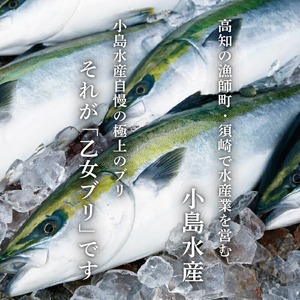 乙女ブリ刺身用 柵600以上 小島水産 乙女ブリ 新鮮ブリ 刺身 ブリしゃぶ 鰤 ブリ鍋
