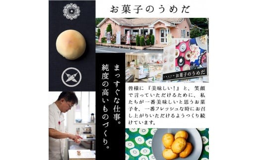 吟醸餡ようかん (4本:各45g) 羊羹 ようかん 和菓子 スイーツ お菓子 おやつ 吟醸餡 小倉 抹茶 珈琲 お取り寄せ 個装 常温 大分県 佐伯市 【AG129】【お菓子のウメダ】
