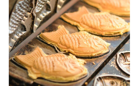 【訳あり】「焼きたて屋」の手づくりたい焼き 風味豊かな北海道産小豆を使用したつぶあん 10枚セット | 食品 焼き菓子 たい焼き 焼きたて屋 長野県 塩尻市