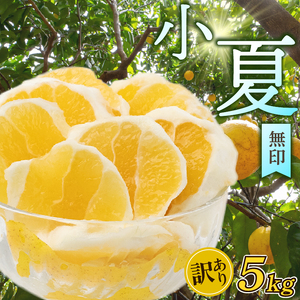 【 訳あり 】小夏 ( 日向夏 ) サイズ おまかせ ( S～Lサイズ ) 5kg 無印 等級  旬 高知 県 須崎 産  柑橘 初夏 フルーツ ｺﾅﾂ 果物 小夏 こなつ ｺﾅﾂ ひゅうが夏 ｺﾅﾂ みかん HK001