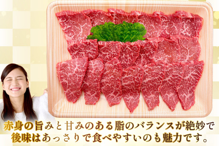 AJ567 【12回定期便】長崎和牛 もも 焼肉用 約500g   [ まるしん商会 長崎県 島原市 ]