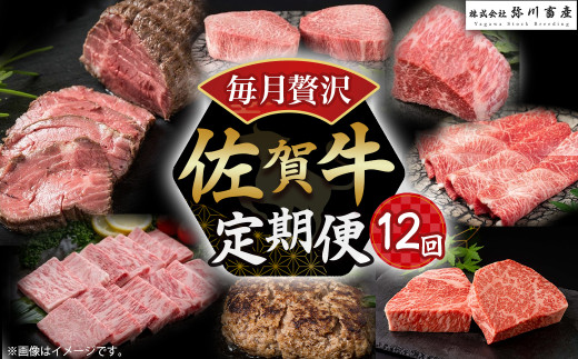 W1x1 佐賀牛 毎月贅沢便 12回コース 定期便 12ヶ月 しゃぶしゃぶ すき焼き ローストビーフ ロースステーキ カルビ焼肉 ハンバーグ モモステーキ ウデブロック ロース カルビ モモ ウデ ス