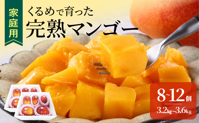 
            【家庭用】くるめで育った完熟マンゴー（8～12個：約3.2～3.6kg）_家庭用 トロ～ッと口のなかでとろける くるめで育った 完熟マンゴー 8個 〜 12個 甘い 子供も安心 2025年 6月より 順次お届け フルーツ トロピカルフルーツ 果物 マンゴー 完熟 国産 ビタミンA 冷蔵 アップルマンゴー お取り寄せ 福岡県 久留米市 送料無料_Fm009
          