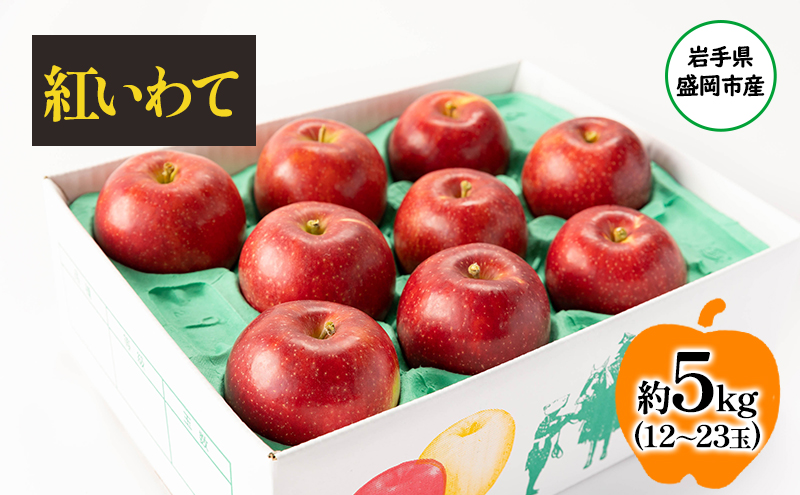 盛岡から「農で人をつなぐ」藤与果樹園：紅いわて5kg フルーツ 果物 旬のフルーツ 旬の果物 旬 冬 岩手 盛岡 産地直送 玉数指定不可 詰め合わせ 岩手 盛岡