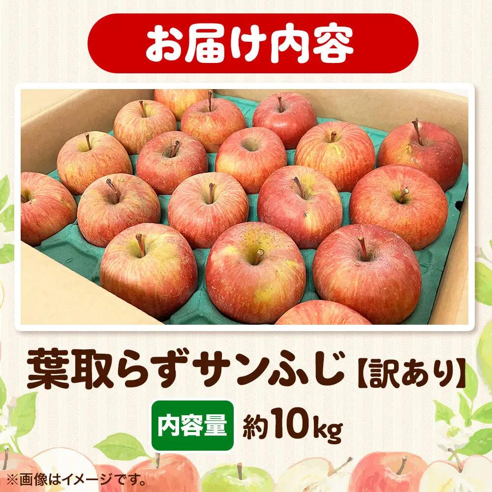 りんご 葉取らず サンふじ 訳あり 約10kg 蜜入り 【12月発送】 りんご