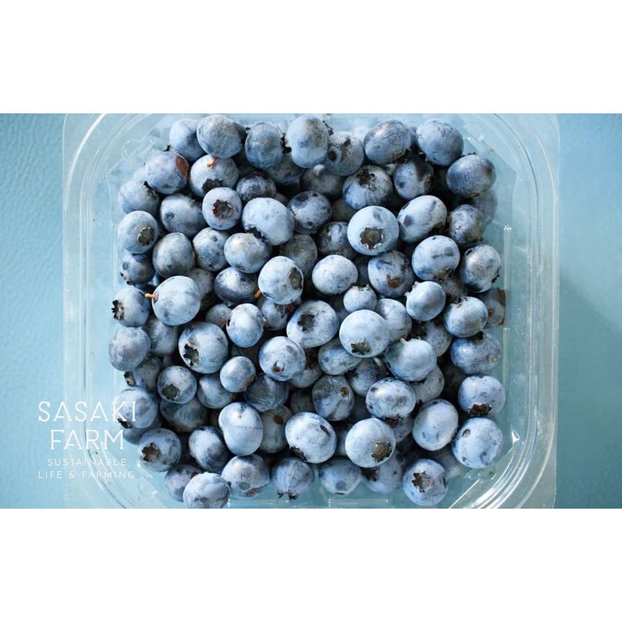 ＜佐々木ファーム＞自然栽培フレッシュブルーベリー1kg（500g×2）