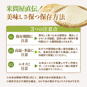 【令和7年産米】※2026年10月後半発送※ はえぬき10kg 山形県 東根市産 深瀬商店提供 hi053-063-103（2025年 令和7年産 山形 送料無料 東北 白米 精米 お米 こめ ブラン