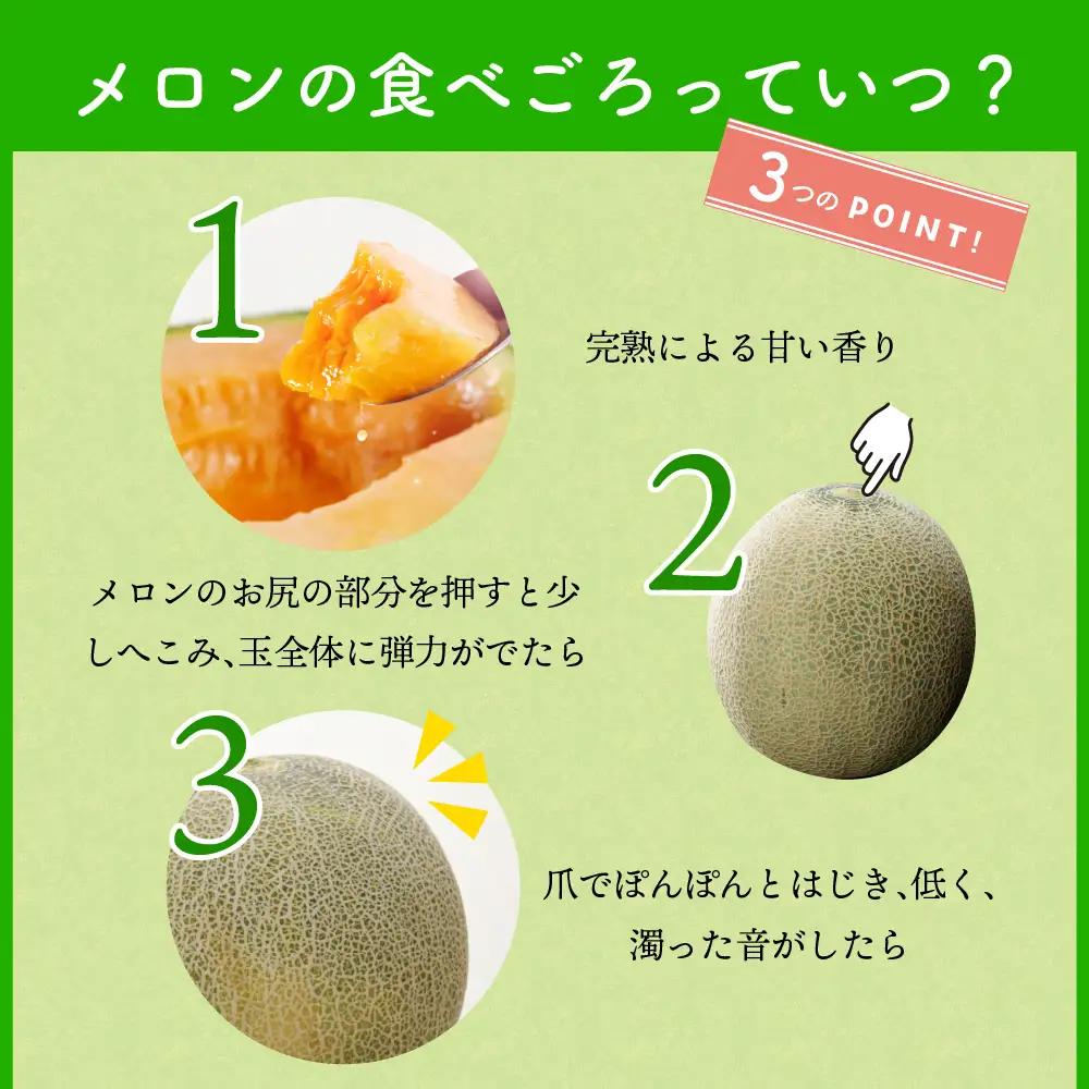 【8月後半発送】 青肉 メロン (訳あり) 約7.5kg 4～8玉 青森産 メロン