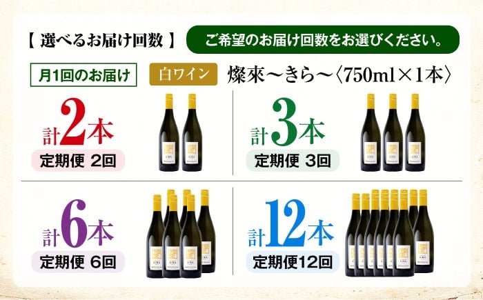 【白ワイン】燦來 きら 750ml×1本 三次市産 ワイン 三次ワイナリー