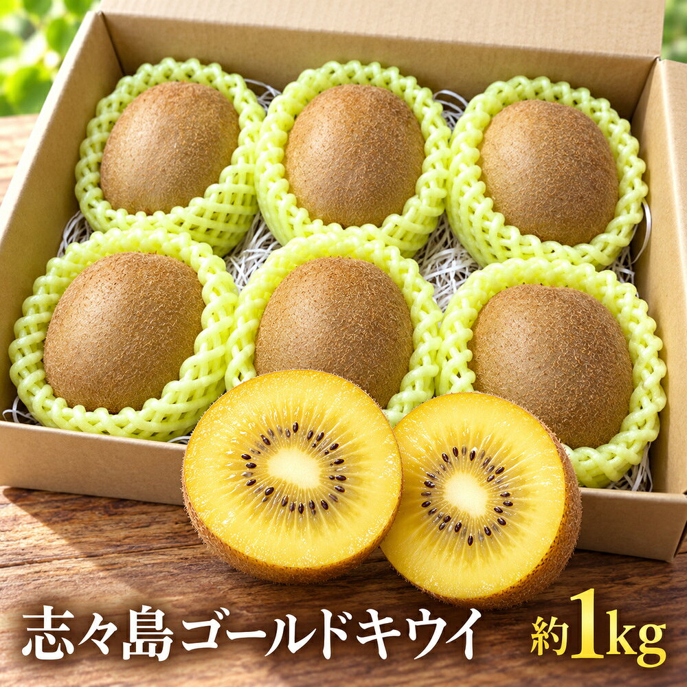 【ふるさと納税】 キウイ キウイフルーツ 志々島ゴールドキウイ 約1kg 【数量限定】 [ 高糖度 大玉 フルーツ 果物 黄肉 甘い 人気 おすすめ 美味しい 贈答用 ギフト お取り寄せ グルメ 国産 送料無料 香川県 三豊市 返礼品 10000 10,000円 台 志々島オーシャンズ ]