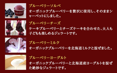 アイス ギフト ブルーベリー 4種 各3個 12個 詰め合わせ セット ジェラート 【ミルティーロ】