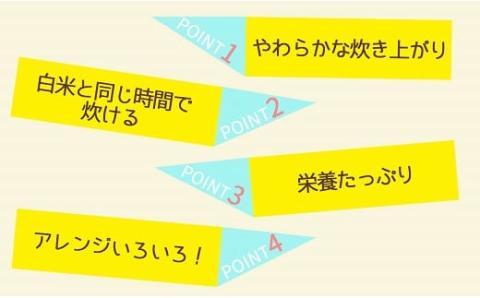 やわらかい玄米 新潟県産コシヒカリ 900g×4袋　※定期便6回　安心安全なヤマトライス　H074-530