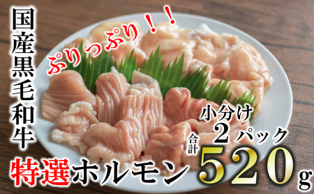 【国産黒毛和牛】特選ホルモン520g　260g×2パック 小分け (07-26)