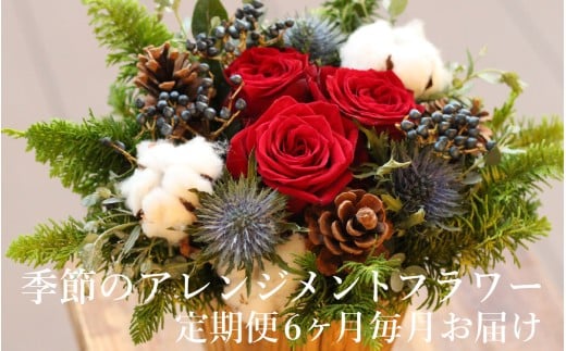 季節のアレンジメントフラワー　定期便　6ヶ月毎月お届け[FI006] /  花 花束 季節 定期便 6回 6ヵ月 生活 記念日 ギフト プレゼント お祝い 送料無料