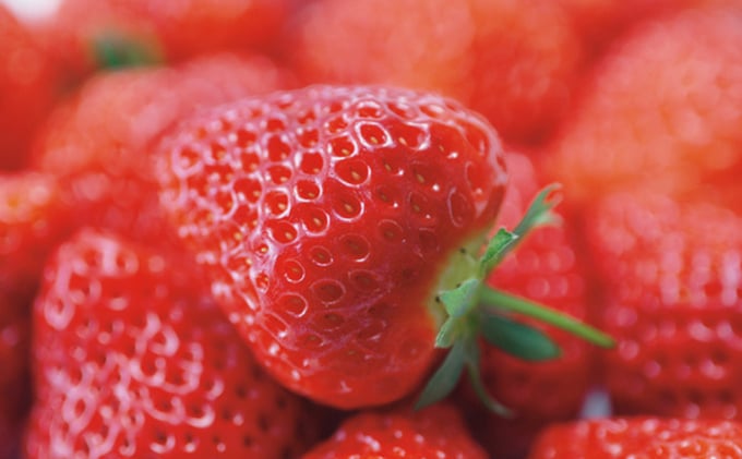 
            「越後姫」イチゴ 15粒 2パック
          