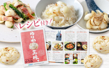 【11月以降順次発送!】 ゆり根 1kg（9玉・ギフト箱入り）《喜茂別町》【Aコープようてい】 ユリ根 ユリネ 北海道 季節の野菜 冬野菜 ギフト プレゼント 産地直送 [AJAK018]