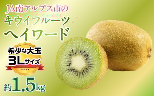 【2025年度先行予約】キウイフルーツ（ヘイワード）３Lサイズ　約1.5kg  ALPAA052 | ふるさと納税 キウイフルーツ キウイ ヘイワード 果物 フルーツ おすすめ 山梨県 南アルプス市 送料無料 |
