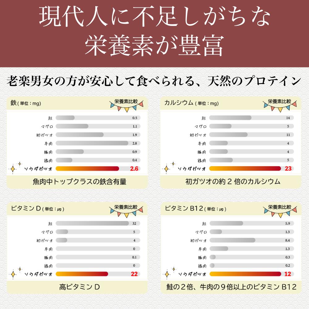 【6回定期便】鰹BAR for Sports（塩レモン味 20本）カツオ スポーツ 筋トレ ダイエット 災害備蓄 栄養補給 シーチキン プロテイン エネルギー補給 個包装 たんぱく質【J00061】
