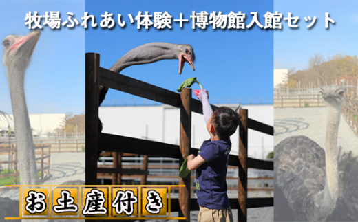 牧場ふれあい体験＋博物館入館セット【お土産付き】 [No.210] ／ ダチョウ 牧場体験 博物館入館 ふれあい体験 親子体験 お土産付き 体験チケット オーストリッチ もちドラ 見学 緑豊か 広大敷地 動物体験 エデュケーショナル レジャー 埼玉県