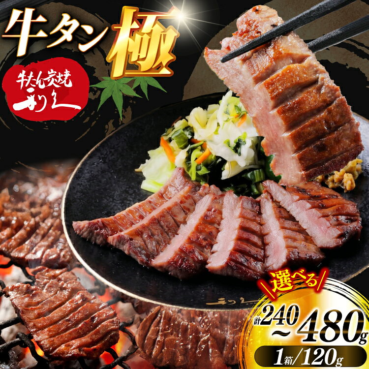 【ふるさと納税】 牛たん 炭焼 利久 牛たん極 塩味 選べる 容量 2個 4個 セット [利久 宮城県 気仙沼市 20566161]牛タン 牛 肉 牛肉 タン 焼肉 キャンプ アウトドア バーベキュー BBQ 牛タン塩 牛たん塩 冷凍 小分け 個包装 120g