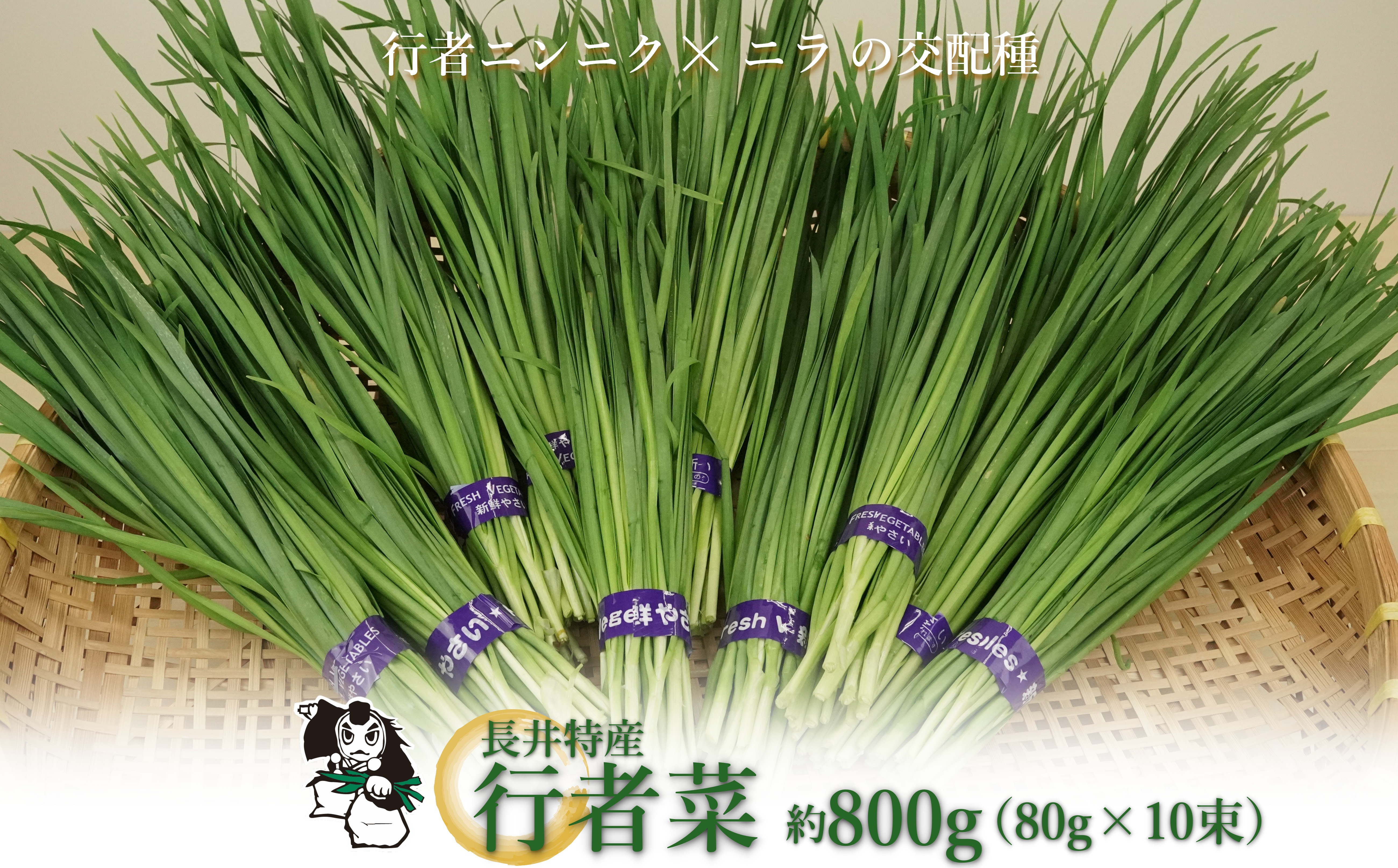 
長井特産行者菜約800g（80g×10束）・レシピ本セット_H100(R6)
