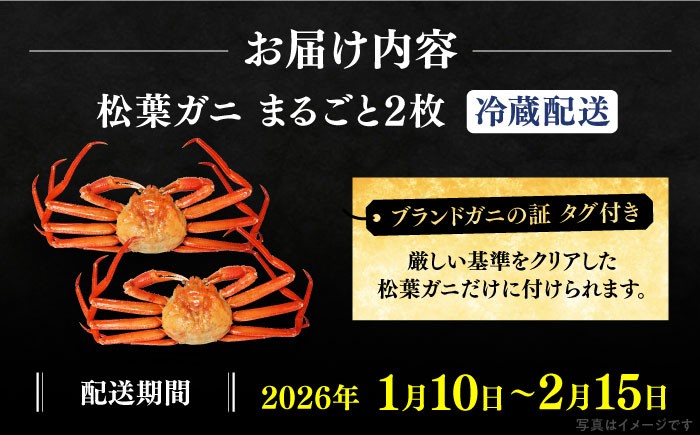 松葉ガニ かに カニ 鍋 グルメ 海鮮 お取り寄せ 国産 島根 松江 おすすめ
