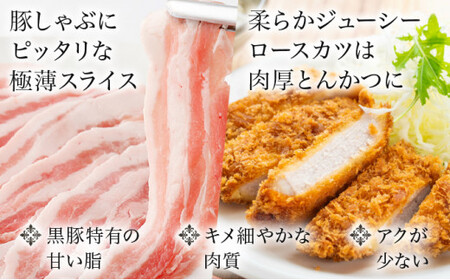 おかやま黒豚　バラエティセット　ロースカツ(900g)&amp;しゃぶしゃぶ用スライス3種(2100g) 3kg以上 豚肉 おかず 小分け 冷凍