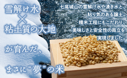 【発送時期が選べる】【新米】令和8年産 能登産コシヒカリ 能登夢米15kg（玄米5kg×3袋）｜米 お米 玄米 こしひかり ブランド米 石川県 七尾市 能登 復興 復興支援