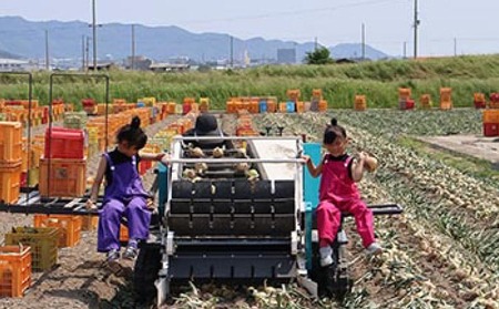 【先行予約！】あわじ島完熟たまねぎ 5㎏　◆配送６月～12月下旬