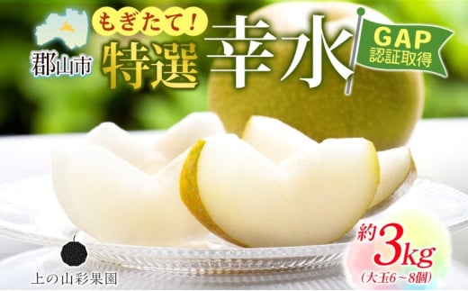 特選 幸水 約3kg 大玉 6～8個 なし 梨 ナシ もぎたて 甘い 旬 果物 GAP 認証 産地直送 贈り物 贈答用 送料無料 上の山 彩果園 福島県 郡山市
