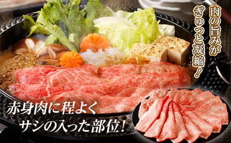【12月配送】「宮崎牛肩(ウデ)すき焼き用」計500g 肉 牛 牛肉 おかず 国産_T009-014-612【人気 肉 ギフト 肉 食品 肉 すきやき 肉 しゃぶしゃぶ 肉 BBQ 肉 贈り物 肉 送