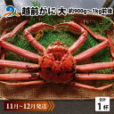 【ふるさと納税】【先行予約】越前がに 大 (約900g～1kg前後)×1杯【11月～12月発送】 / 雄 ズワイガニ ずわいがに ズワイ蟹 越前ガニ ボイル 冷蔵 ご自宅用 カニ しゃぶしゃぶ 海鮮 カニすき カニ鍋 カニしゃぶ かに 国産 南越前町 送料無料