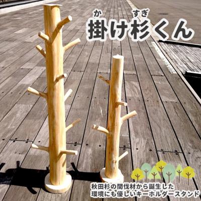 ふるさと納税 能代市 「燃え杉くん(もえすぎくん)」「掛け杉くん(かけすぎくん)」セット[No.5335-0255] |  | 03
