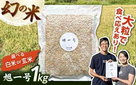 【先行受付】令和7年産 幻のお米＜旭一号＞ 1kg（玄米または白米） 島根県雲南市/つちのと舎 玄米 白米 おこめ[AIBY005]