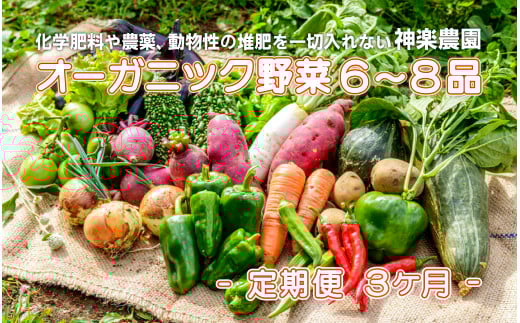 予約受付＼2025年7月発送開始予定／【定期便/3ヶ月】オーガニック野菜　6～8品 旬 野菜 新鮮野菜 詰め合せ 国産 季節 おまかせ 産地直送 春野菜 夏野菜 秋野菜 きのこ 葉物 果物 果菜  贈り物 スイーツ ヘルシー 1人暮らし 家族 夫婦 小分け 料理 根菜 冷蔵 オーガニック 高原野菜 定期 岩手県 北上市 G0020