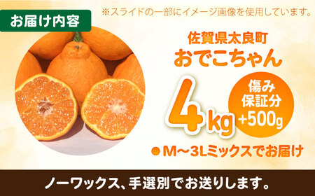 【2027年3月中旬以降発送】おでこちゃん 計4.5kg（4kg＋500g傷み保証分）M-3Lサイズ / みかん 太良町 / 佐賀県 [41ATBT011]