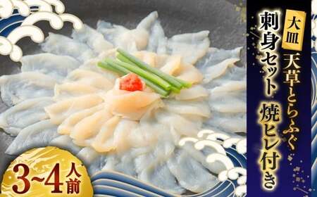 【大皿】天草とらふぐ刺身セット 焼ヒレ付き 【2026年12月下旬発送開始】とらふぐ フグ 刺し身 お魚 贈答品 ギフト 熊本県 