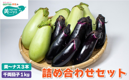 千両茄子 約1kg 美～ナス 3本 詰合せ 翡翠茄子 千両なす 茄子 ナス なす