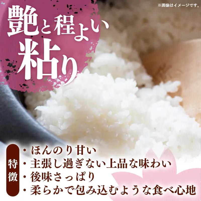 令和7年産 福岡県産米 夢つくし 10kg (5kg×2袋) 精米｜お米 米 コメ 白米 夢つくし ブランド米 福岡 福岡県 筑前町