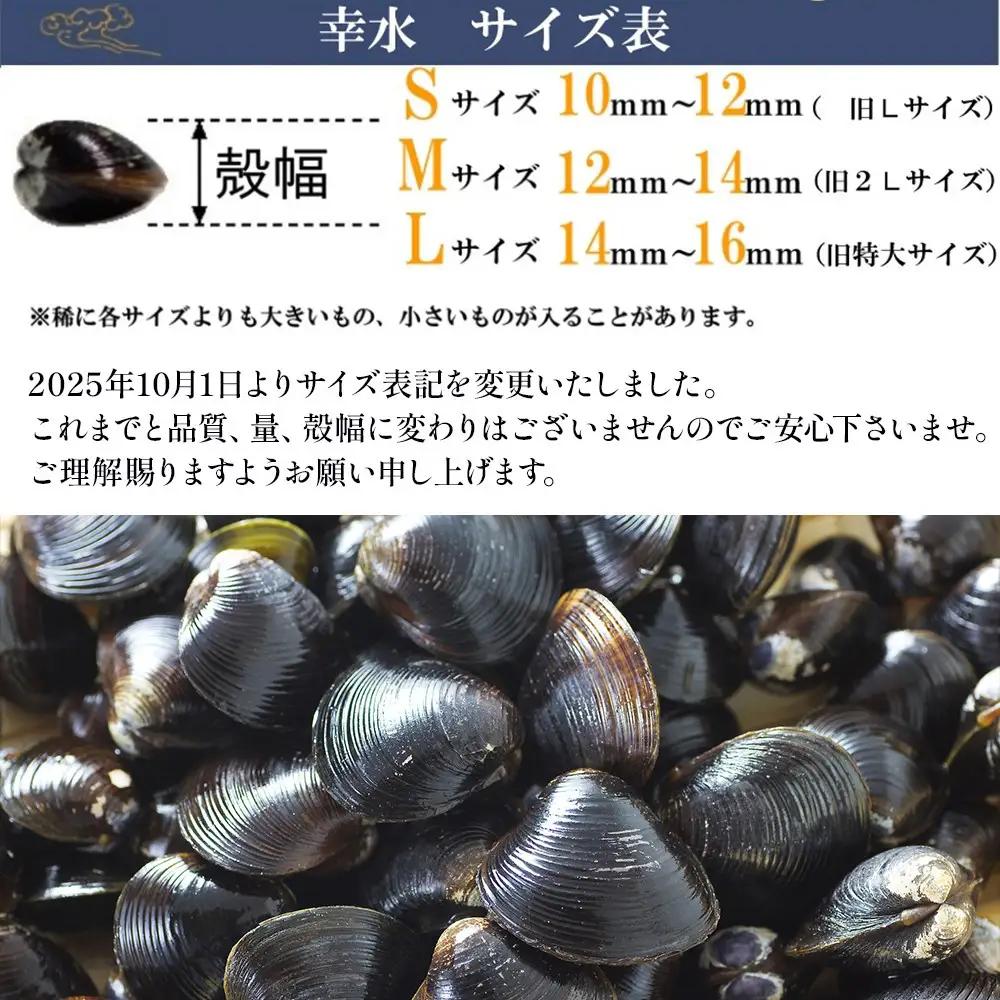 宍道湖産 冷凍しじみ Lサイズ 2kg 殻幅14～16mm しじみ