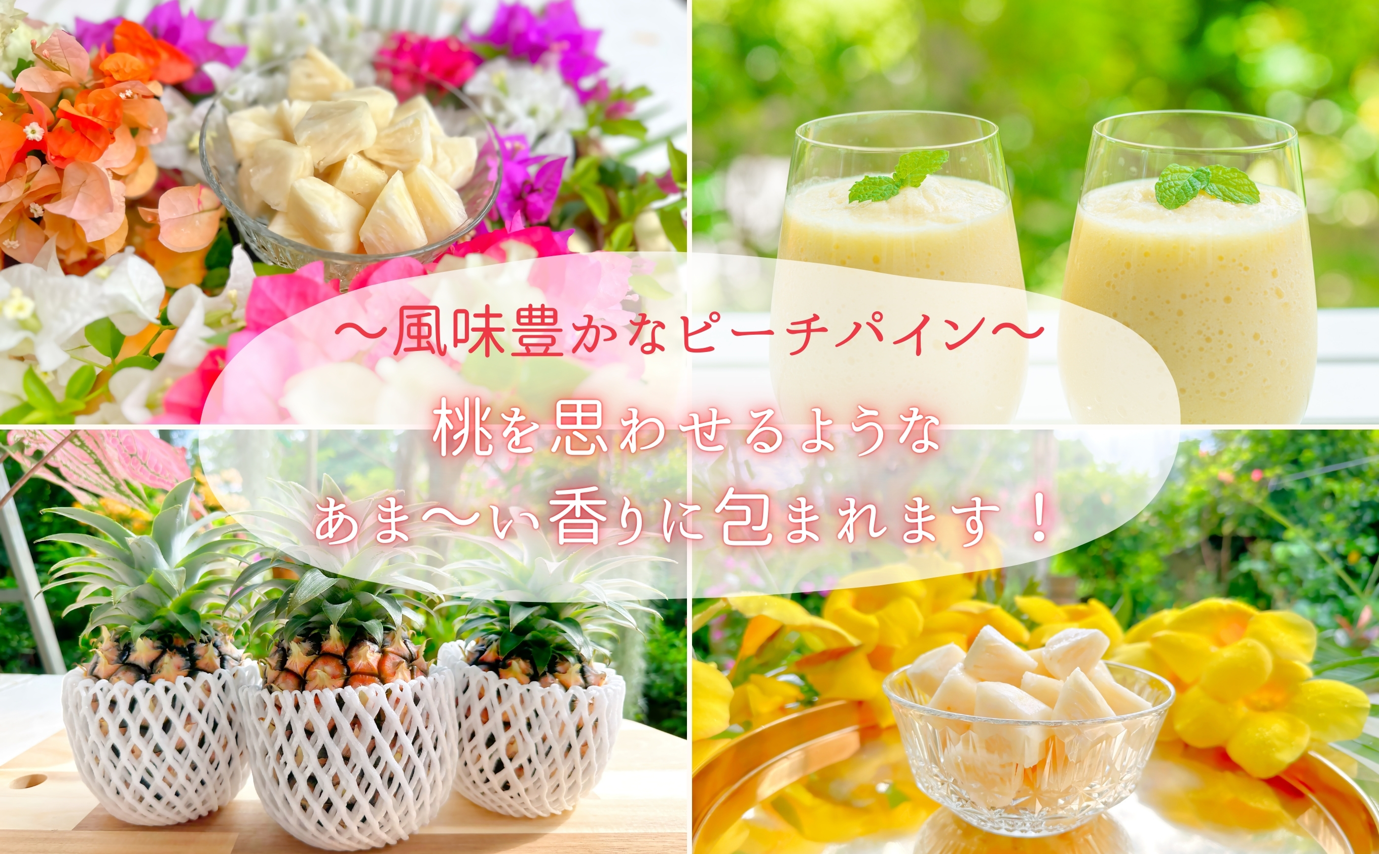 人気No.1『初ピーチの方に大好評!!』☆新感覚の味わい!!☆桃のような甘～い香りのする芳醇なパイナップル！約1.2kg　西表島ナウパカ