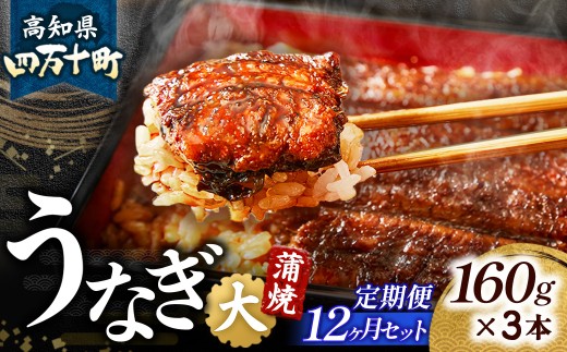 〈鰻大好き定期便〉 四万十うなぎ 蒲焼き ≪大≫（160g x 3本）12カ月セット 国産 ／Resu-06 冷凍  蒲焼 有頭 鰻 ウナギ 蒲焼き タレ付き 山椒付き 肉厚 土用の丑の日 本格うなぎ