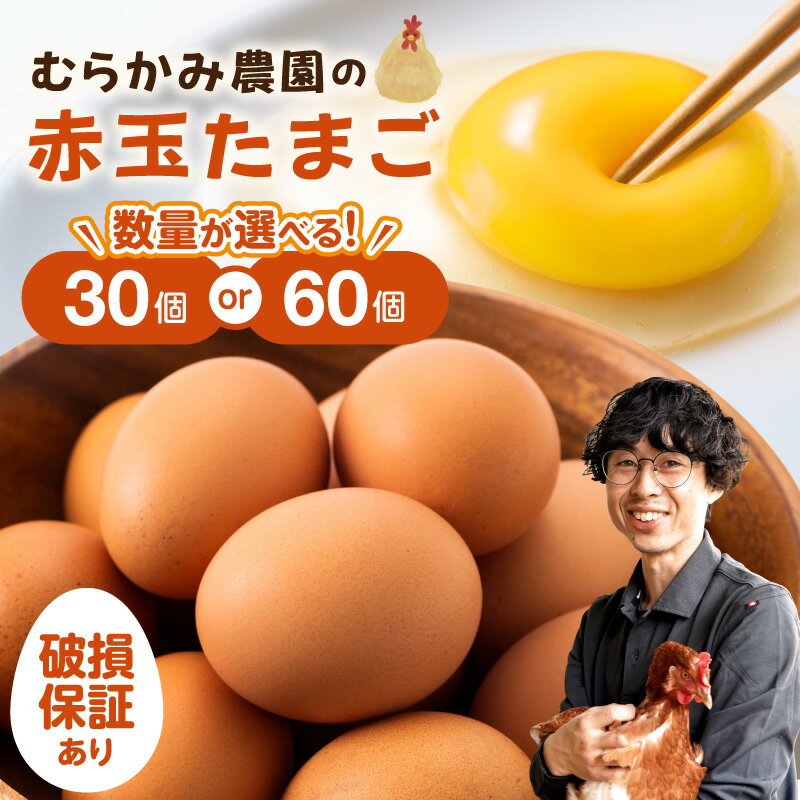 【ふるさと納税】むらかみ農園の赤玉たまご 平飼い自然卵 30個 60個 北海道余市町 40年以上の実績 ボリスブラウン種 道産飼料 レモンイエロー黄身 卵かけご飯 TKG 平飼い 自然卵 コク深い卵かけご飯 コクがあり軽やか 卵かけご飯 卵焼き オムレツ 北海道 余市町 送料無料