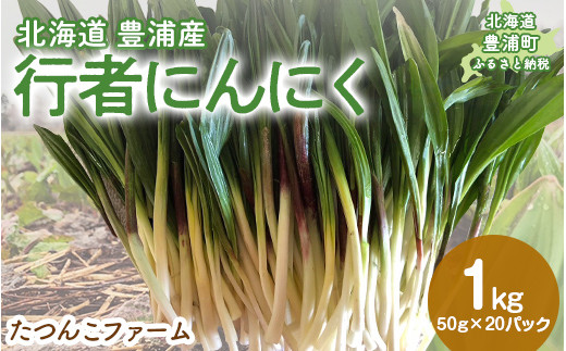 北海道豊浦産 行者にんにく 50g×20パック 【2027年2月下旬以降順次出荷】 ニンニク にんにく 山菜 野菜 北海道 豊浦町