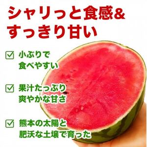 小玉すいか 2玉入り 3Lサイズ 約3kg以上(益城町)【1684316】